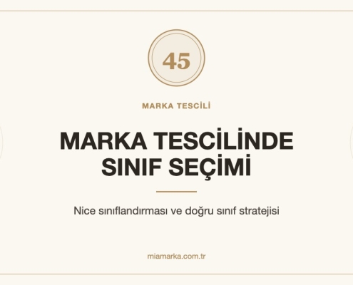 Marka tescilinde sınıf seçimi