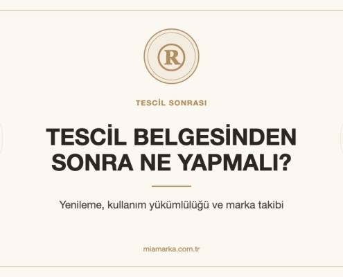 Marka tescilinden sonra yenileme ve kullanım yükümlülüğü