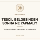 Marka tescilinden sonra yenileme ve kullanım yükümlülüğü